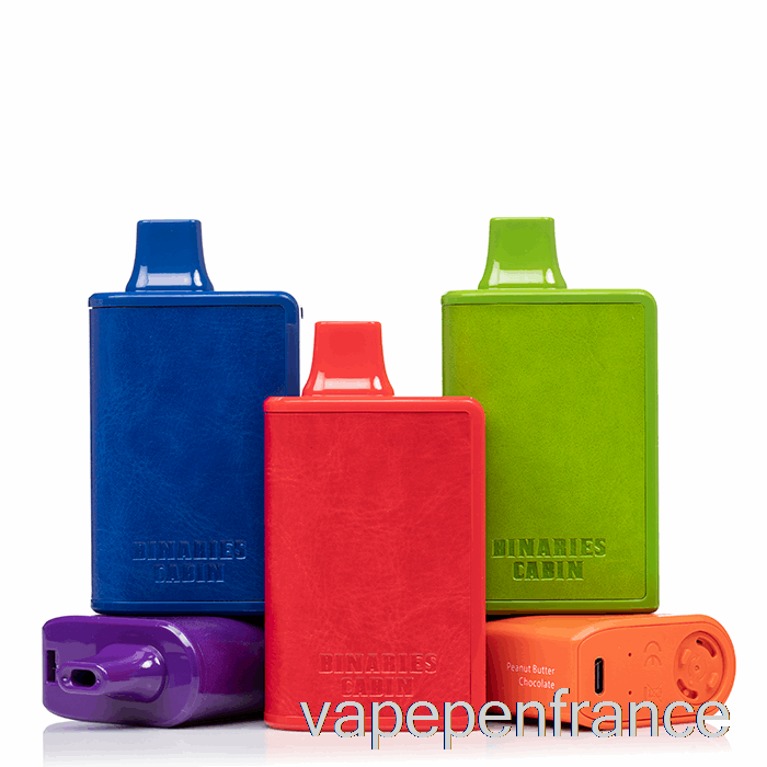 Horizon Binaires Cabine 10000 Ceintures Aigre-fraise Jetables Stylo Vape